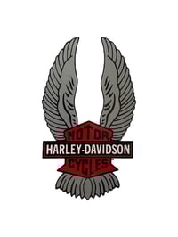 Image 4 of HD bar & shield wing