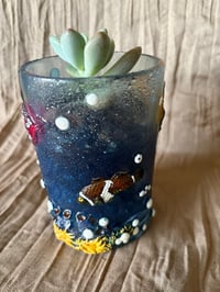 Image 4 of Ghost Plant in Plastic Coral Reef Cup