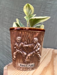 Image 1 of Sweet & Sour Peperomia in Karate Punch Pot