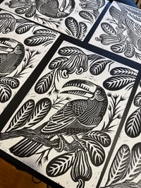 Image 2 of Tucano linoprint