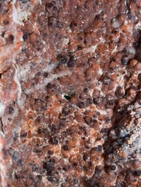 Image 4 of XL PINK CHALCEDONY GEODE -MOROCCO- A