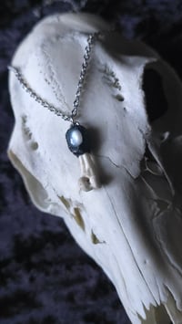 Image 2 of Silver moonstone and pigeon bone necklace 