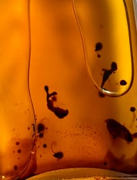 Image 1 of SOMMER | African Marigold Face Serum