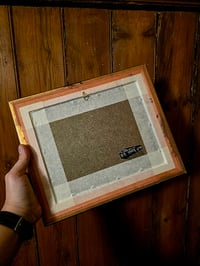 Image 5 of 1800s Gustave Dore Spiders - with real preserved webs -C