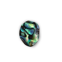 Image 1 of Abalone option 1