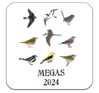 Image 2 of Megas 2024