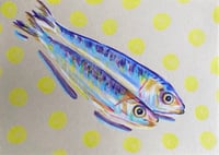 Image 2 of Sardines on lemon yellow spots