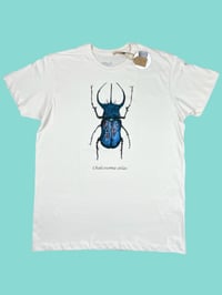 Image 4 of T-shirt ATLAS 