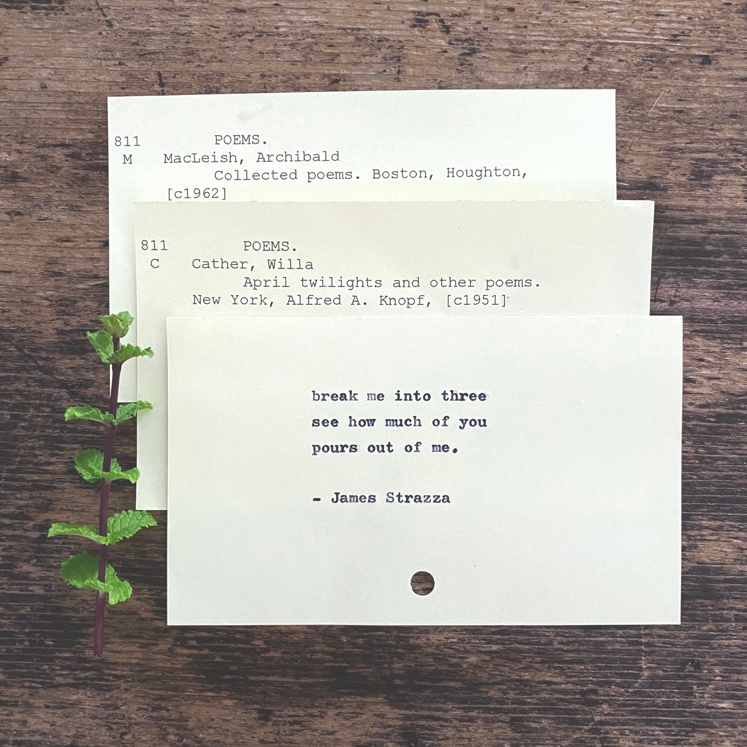 Hand Typed Poem |  Library Catalog Cards