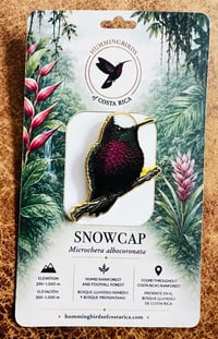 Image 10 of Hummingbirds of Costa Rica Pin Badges