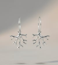 Image 2 of Corales de plata 