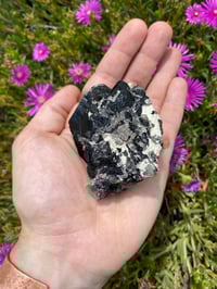 Image 2 of Black Tourmaline Cluster