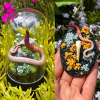 Image 1 of Newest Additions: Worm Dome & Mini Finders Keepers