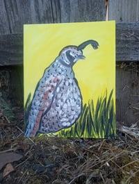 Image 8 of Quail