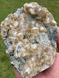 Image 13 of UV Cookie Calcite Specimen #1839