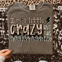 I’m a little crazy