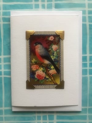 Image of Bullfinch and Kingfisher 