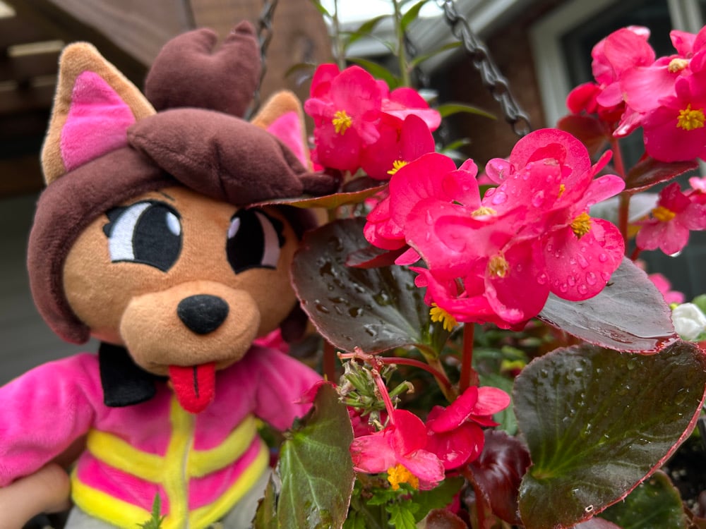 BACKORDER] Kanako Plushie | Corvid's Corner Shop