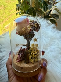 Image 3 of Fox Spine Cloche 