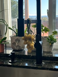 Image 5 of Grape Vine suds 