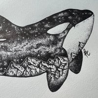Image 4 of Milkyway Orca 