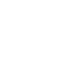 Image 1 of Cheetah Cover