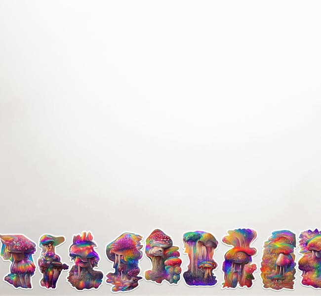 Noah Travis Phillips “Mushrooms of Mycolandia”