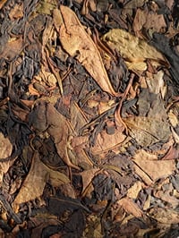 Image 1 of Shui Xian Bai Cha Cake "DANG"