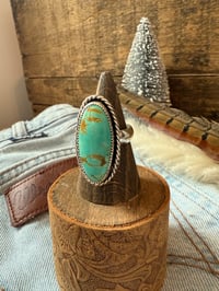 Image 6 of The Wild Mesa