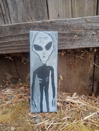 Image 9 of Skinny Bob