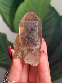 Image 3 of NATURAL RUTILE SMOKEY QUARTZ POINT -BRAZIL- J