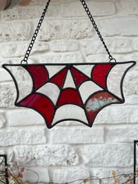 Sweet Spiderweb 