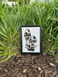 Black And grey mushrooms (2) left