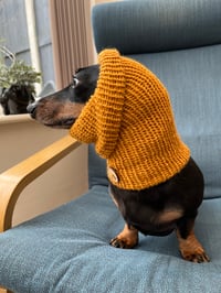 Image 2 of Snazzy Sausage Snood