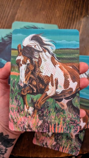 Horse Postcards