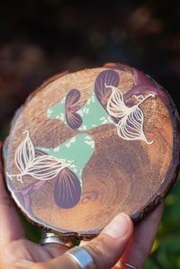 Image 2 of GROUND UP- coaster set
