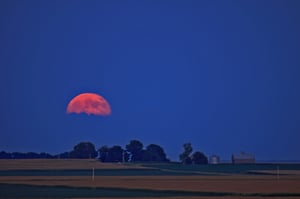 Image of Moon Rise One