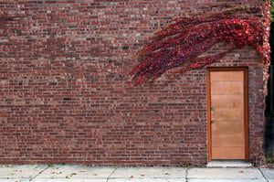 Image of Copper Door