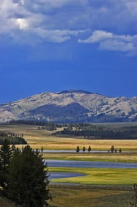 Image of YNP/Hayden Valley 2