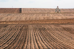 Image of Winter Fields