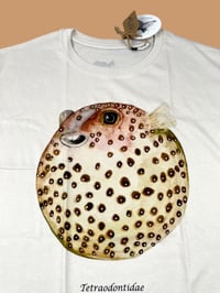 Image 3 of T-shirt PESCE PALLA