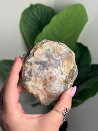 Image 2 of SWIRLY MOROCCAN AGATE B