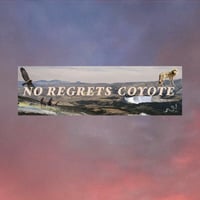 Image 3 of No Regrets Coyote