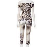 Image 3 of Zebra Set