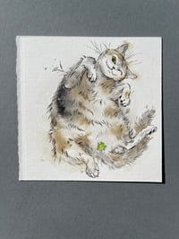 Image 3 of Lucky - Kitty Cat Study