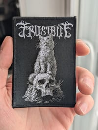 Image 2 of Frostbite - Cat