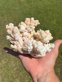 Image 13 of Calcite Crystal Cluster Reef Formation Specimen #1235