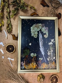 Image 1 of Samhains Light