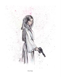 Image 3 of Storm Trooper / Princess Leia Art Print Selection