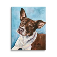 Image 4 of Big Brown Ears